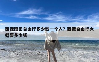西藏跟团自由行多少钱一个人？西藏自由行大概要多少钱
