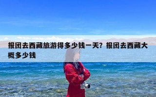 报团去西藏旅游得多少钱一天？报团去西藏大概多少钱
