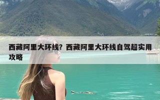 西藏阿里大环线？西藏阿里大环线自驾超实用攻略