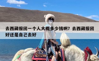 去西藏报团一个人大概多少钱啊？去西藏报团好还是自己去好
