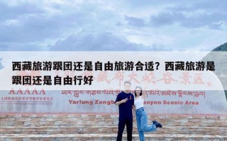 西藏旅游跟团还是自由旅游合适？西藏旅游是跟团还是自由行好