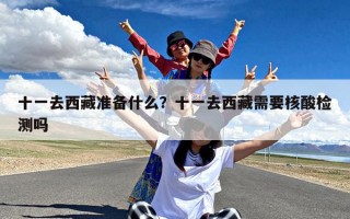 十一去西藏准备什么？十一去西藏需要核酸检测吗
