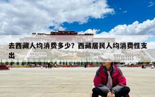 去西藏人均消费多少？西藏居民人均消费性支出