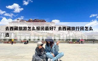 去西藏旅游怎么报团最好？去西藏旅行团怎么选