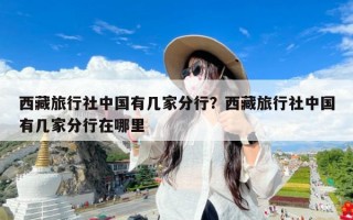 西藏旅行社中国有几家分行？西藏旅行社中国有几家分行在哪里