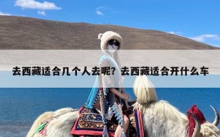 去西藏适合几个人去呢？去西藏适合开什么车