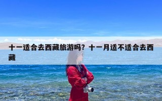 十一适合去西藏旅游吗？十一月适不适合去西藏