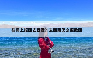 在网上报团去西藏？去西藏怎么报散团