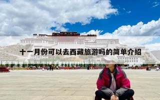 十一月份可以去西藏旅游吗的简单介绍
