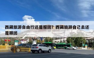 西藏旅游自由行还是报团？西藏旅游自己去还是跟团