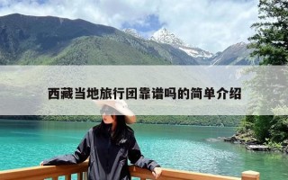 西藏当地旅行团靠谱吗的简单介绍