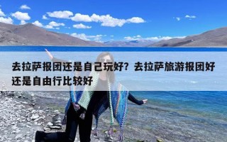 去拉萨报团还是自己玩好？去拉萨旅游报团好还是自由行比较好