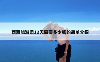 西藏旅游团12天需要多少钱的简单介绍