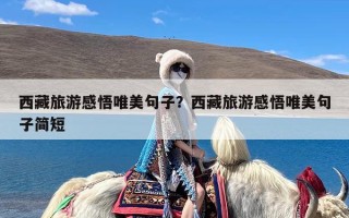 西藏旅游感悟唯美句子？西藏旅游感悟唯美句子简短