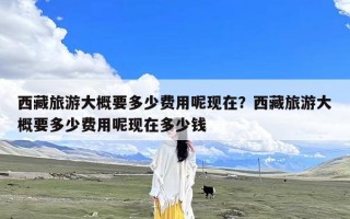 西藏旅游大概要多少费用呢现在？西藏旅游大概要多少费用呢现在多少钱