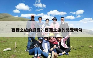 西藏之旅的感受？西藏之旅的感受明句