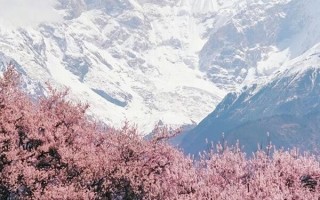 西藏三月份天气怎么样？西藏三月份适合去旅游吗？