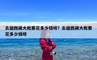 去趟西藏大概要花多少钱呀？去趟西藏大概要花多少钱呀