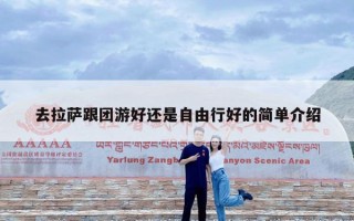 去拉萨跟团游好还是自由行好的简单介绍