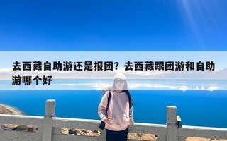 去西藏自助游还是报团？去西藏跟团游和自助游哪个好
