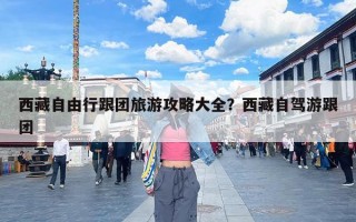 西藏自由行跟团旅游攻略大全？西藏自驾游跟团