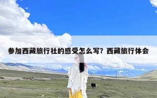 参加西藏旅行社的感受怎么写？西藏旅行体会