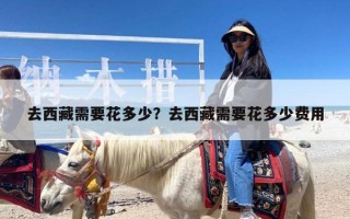 去西藏需要花多少？去西藏需要花多少费用