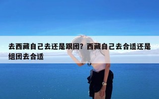去西藏自己去还是跟团？西藏自己去合适还是组团去合适