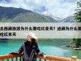去西藏旅游为什么要吃红景天？进藏为什么要吃红景天