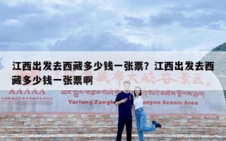 江西出发去西藏多少钱一张票？江西出发去西藏多少钱一张票啊