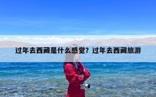 过年去西藏是什么感觉？过年去西藏旅游