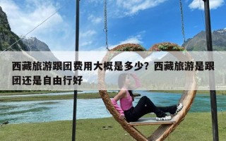 西藏旅游跟团费用大概是多少？西藏旅游是跟团还是自由行好