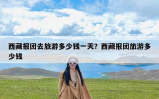 西藏报团去旅游多少钱一天？西藏报团旅游多少钱