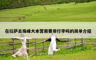 在拉萨去珠峰大本营需要带行李吗的简单介绍