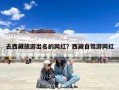 去西藏旅游出名的网红？西藏自驾游网红