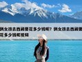 俩女孩去西藏要花多少钱呢？俩女孩去西藏要花多少钱呢视频