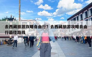 去西藏旅游攻略自由行？去西藏旅游攻略自由行最佳路线