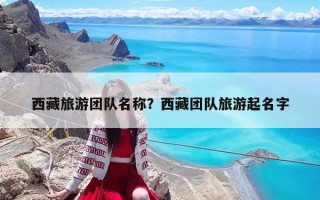 西藏旅游团队名称？西藏团队旅游起名字