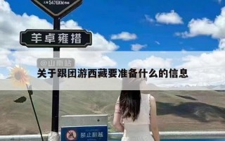 关于跟团游西藏要准备什么的信息