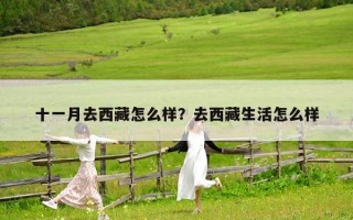 十一月去西藏怎么样？去西藏生活怎么样
