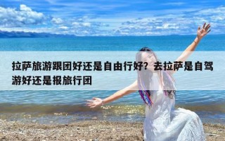 拉萨旅游跟团好还是自由行好？去拉萨是自驾游好还是报旅行团