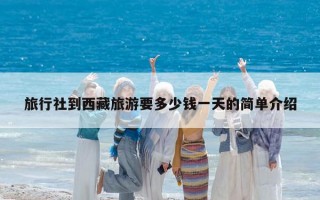 旅行社到西藏旅游要多少钱一天的简单介绍