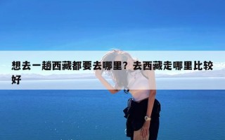 想去一趟西藏都要去哪里？去西藏走哪里比较好