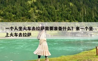 一个人坐火车去拉萨需要准备什么？来一个坐上火车去拉萨