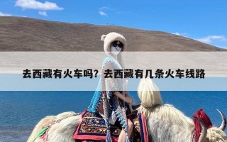 去西藏有火车吗？去西藏有几条火车线路