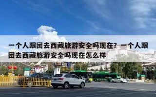 一个人跟团去西藏旅游安全吗现在？一个人跟团去西藏旅游安全吗现在怎么样