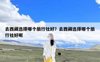 去西藏选择哪个旅行社好？去西藏选择哪个旅行社好呢