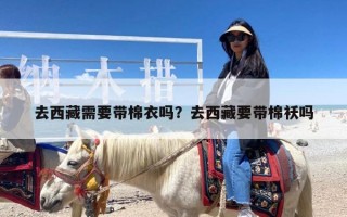 去西藏需要带棉衣吗？去西藏要带棉袄吗