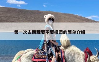 第一次去西藏要不要报团的简单介绍