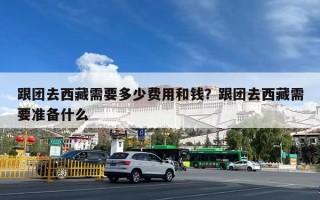 跟团去西藏需要多少费用和钱？跟团去西藏需要准备什么